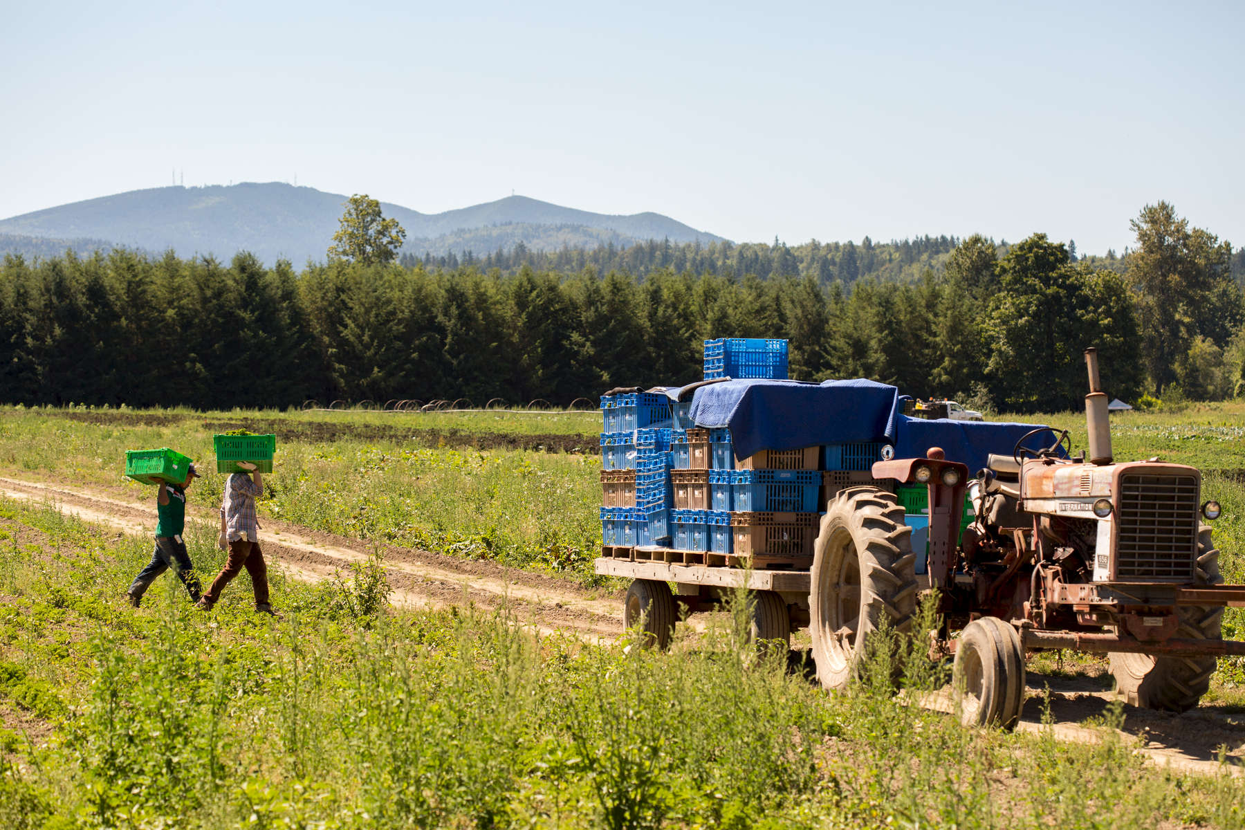 Washington State Dept. of Agriculture, Food Safety, Bridging the Gap