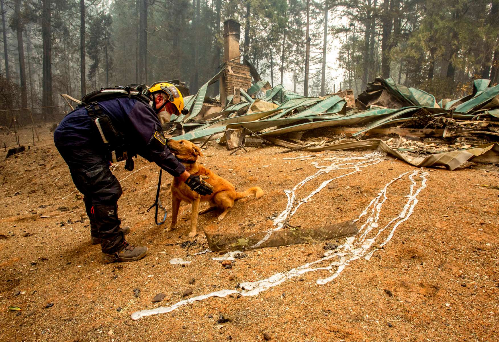 Keith Davis, a member of Washington Task Force One Search and Rescue squad praises search and rescue dog, Asher, while conducting operations Sept. 15, 2020, in Blue River, Oregon in areas affected by the Holiday Farm Fire. (pool photo by Andy Nelson/The Register-Guard)