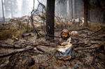 September 15, 2020: A statue of a girl reading sits Sept. 15, 2020, in Blue River, Oregon near where the library stood before it was destroyed in the Holiday Farm Fire. It has been eight days since the fire started near the small community on the McKenzie River. More than 300 structures have been confirmed destroyed in the fire.  Mandatory Credit: Pool photo/Andy Nelson/The Register-Guard via USA TODAY NETWORK