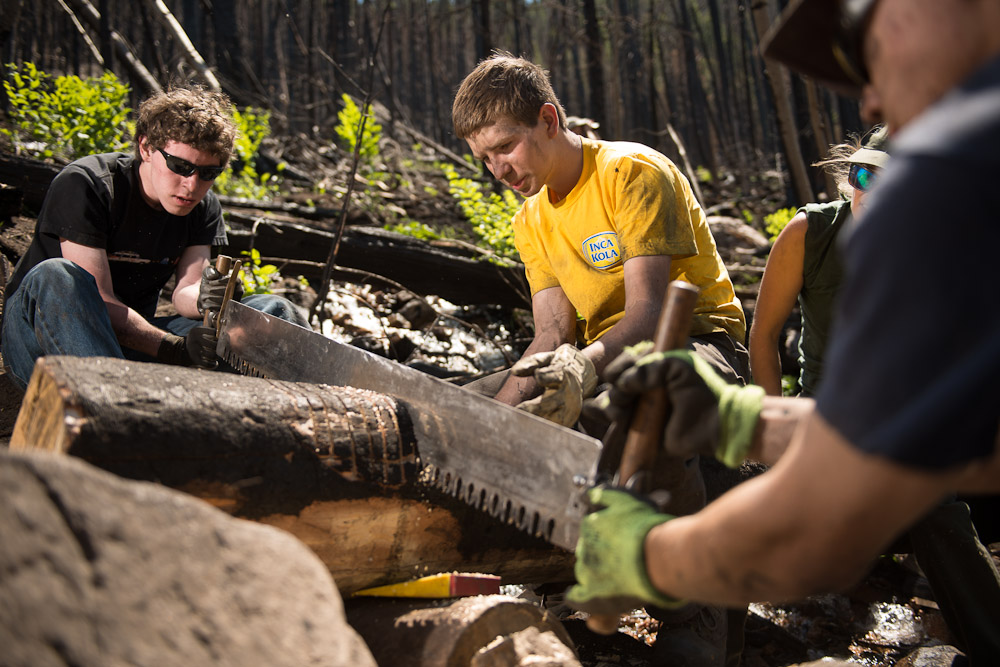 Eagle Scout Douglas Klink's Eagle Scout project was to work on a bridge that had been destroyed by fire near Cub Lake in Rocky Mountain National Park. The scouts volunteered their time and completed the bridge in a day.