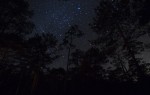 Stars shine brightly through pine trees at the base camp established by Vietnamese rangers for the research expedition of the Lamont-Doherty Earth Observatory tree ring laboratory in Bidoup Nui Ba National Park near Dalat, Vietnam.