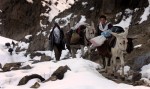 Boys lead their mules up steep and snowy slopes from Khenj, Afghanistan to the emerald mines. The boys make the trip up the mountain at least once a week.