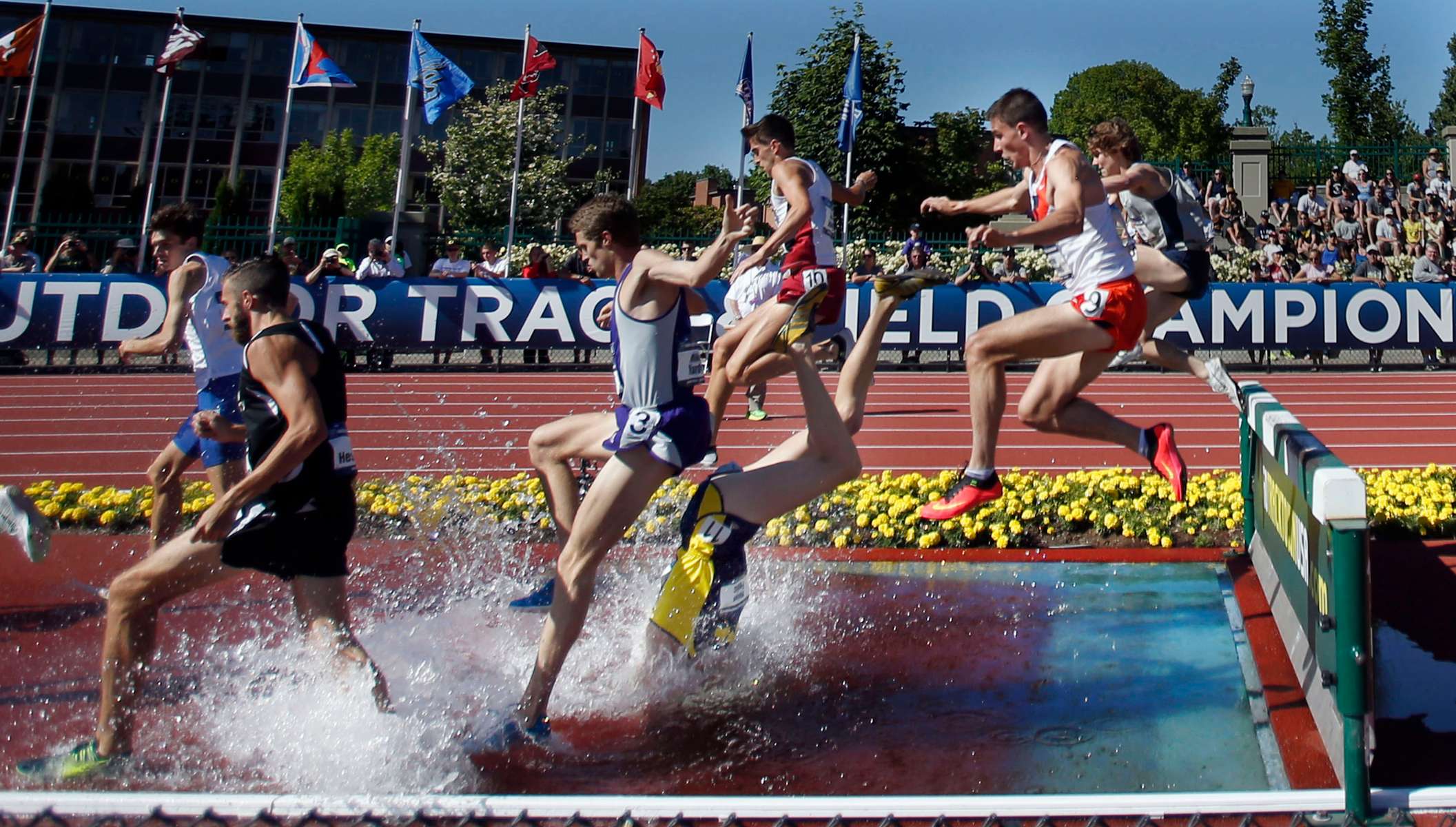 Michigan's Mason Ferlic nosedives into the water jump during the 3,000 steeplechase on the third day of the NCAA Track and Field Championships at Hayward Field in Eugene in 2015. Ferlic was unhurt in the incident.