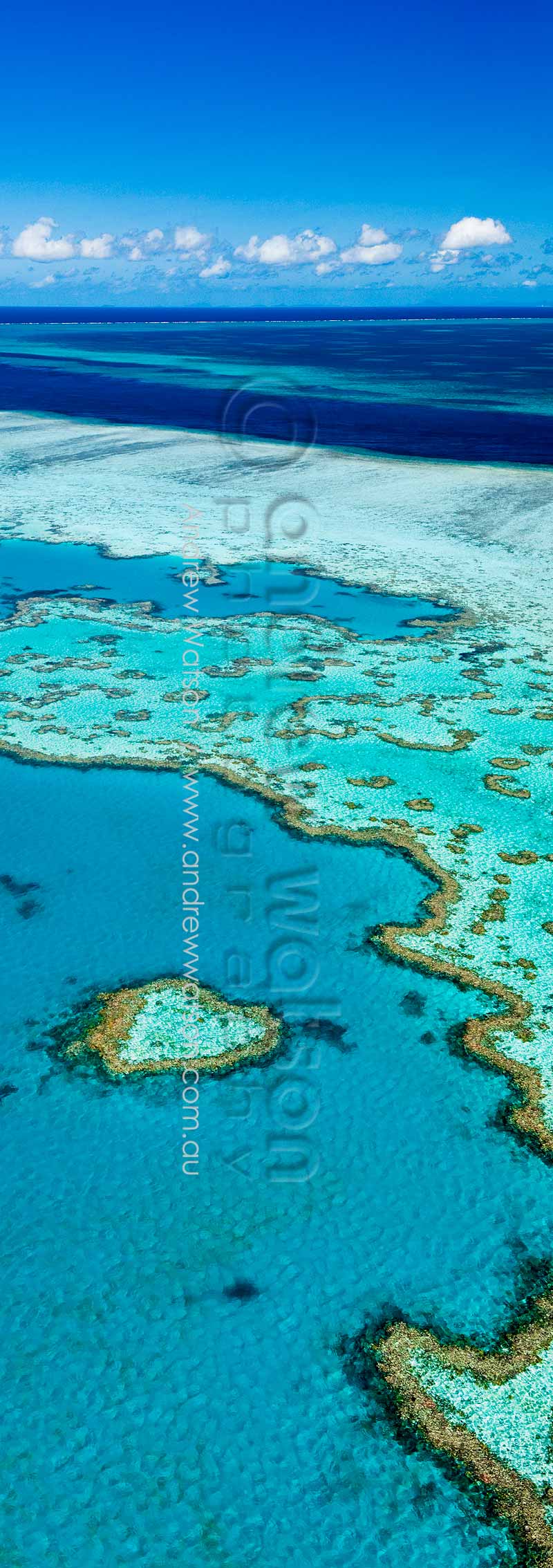 View of Heart Reef, Great Barrier ReefWhitsundays, North QueenslandImage available for licensing or as a fine-art print... please enquire