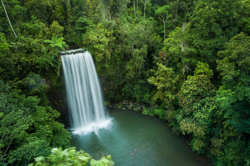 Aerial view of people swimming at Millaa Millaa Falls, Cairns