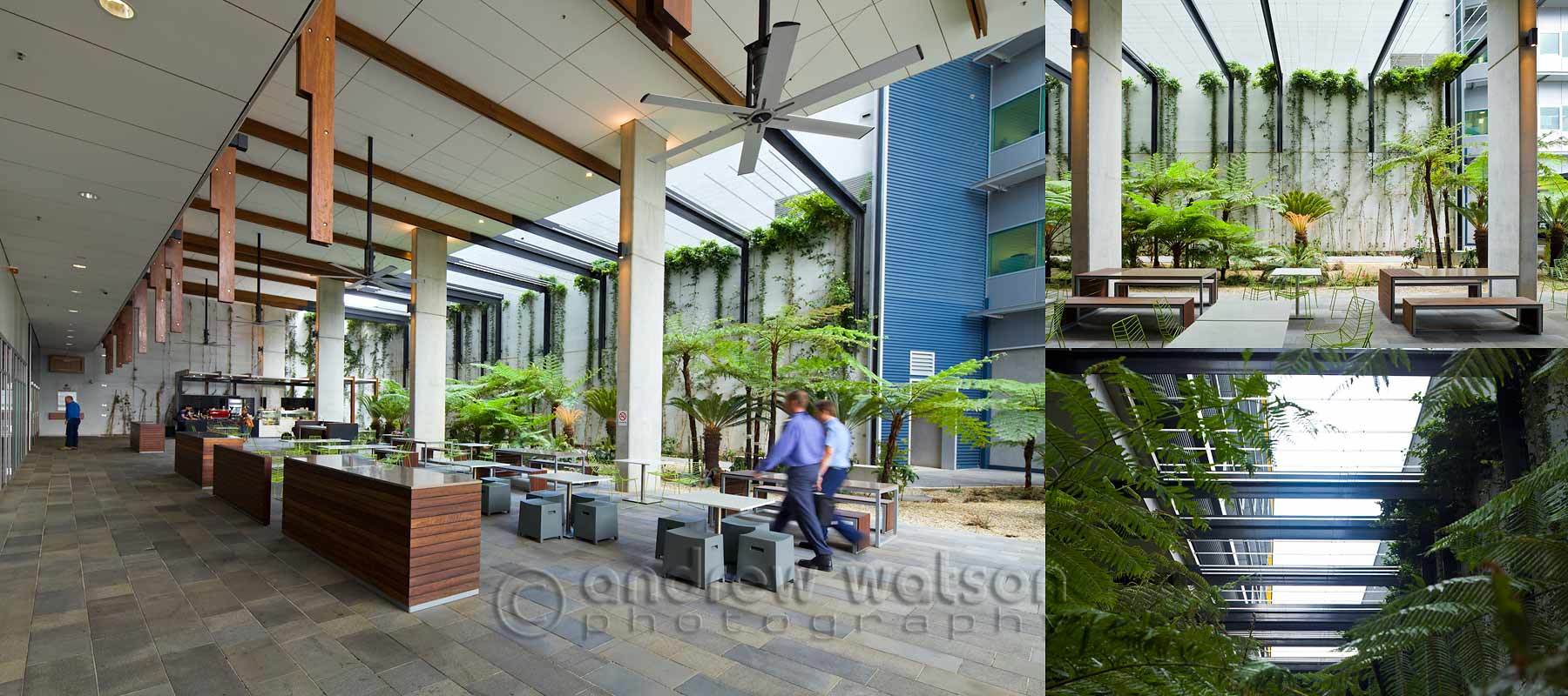 Architecture photography - William McCormack Building Courtyard, Cairns