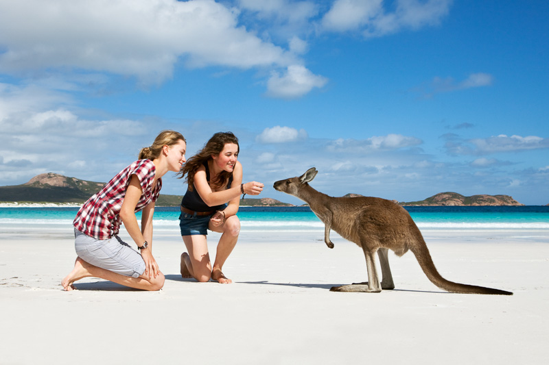 Two young women interacting with a kangaroo on a beautiful beach at Lucky Bay 
