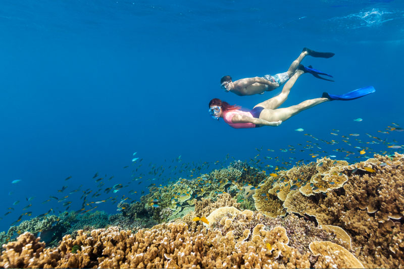 Couple snorkelling along a reef wall on the Great Barrier Reef, Cairns