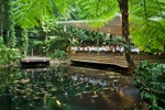 Julaymba Restaurant in the rainforest at Daintree Eco Lodge and Spa
