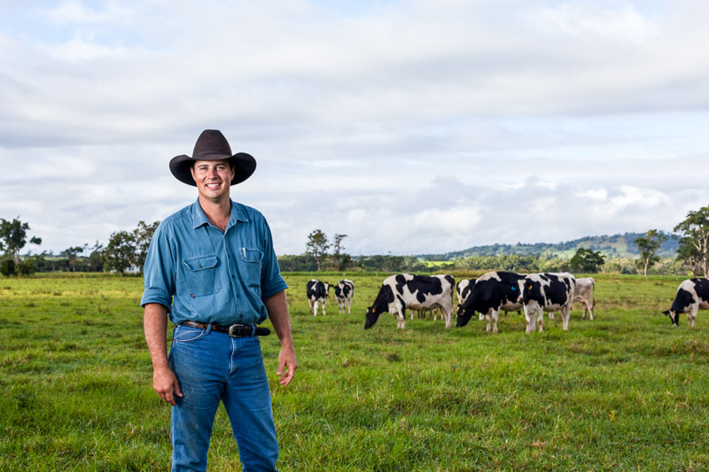 A dairy farmer in paddock with cows in background, Malanda 