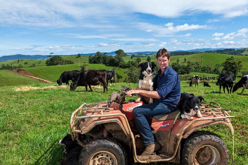 Portrait of a dairy farmer and his work dogs sitting on a quad bike at a farm
