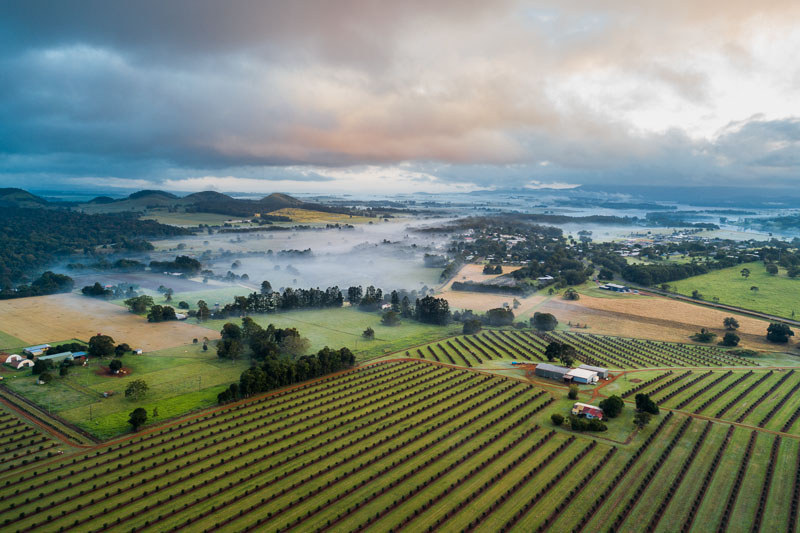 Aerial view of farmland and morning mist on the Atherton Tablelands