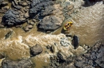 Aerial view of white water rafters paddling down the Barron River, Cairns