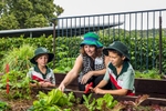 Teacher assisting students gardening in the school vegetable garden