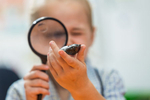 A young school student peering through a magnifying glass to view rock