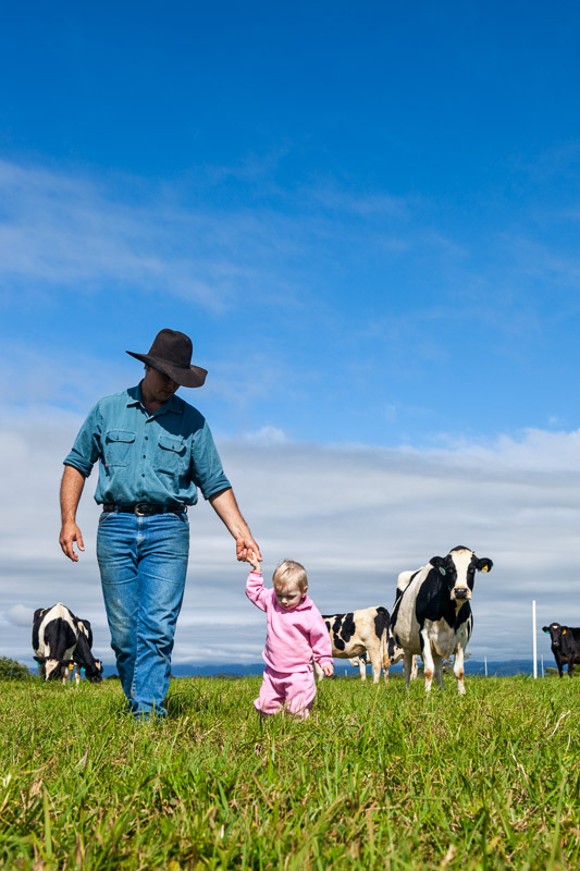 Farmer walking with his young daughter in the green pastures of a dairy farm