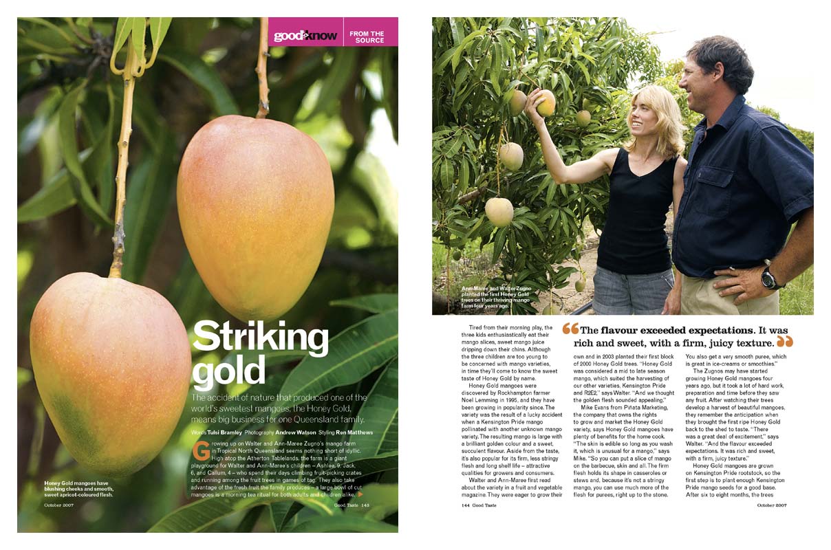 Magazine Photography - Tablelands mango farming.  Inside story for Good Taste magazine.