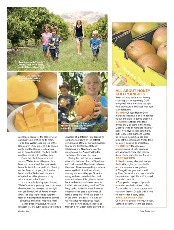 Magazine Photography - Tablelands mango farming.  Inside story for Good Taste magazine.
