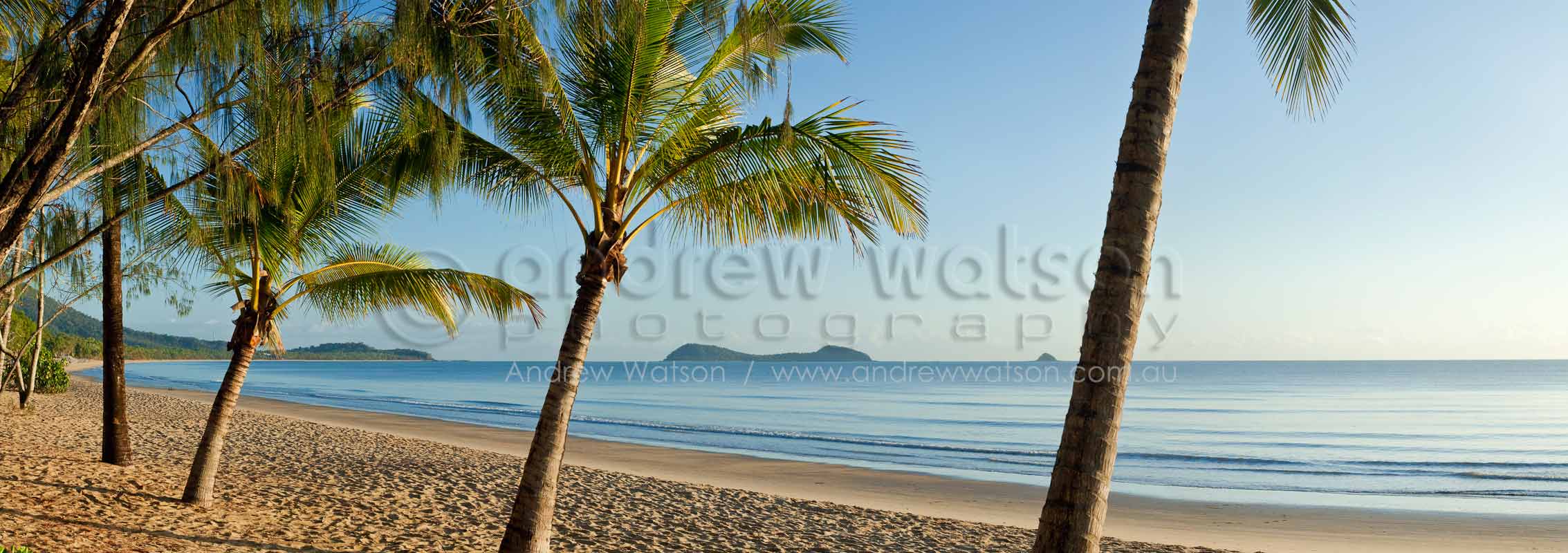 View through coconut palms at Kewarra BeachCairns, North QueenslandImage available for licensing or as a fine-art print... please enquire