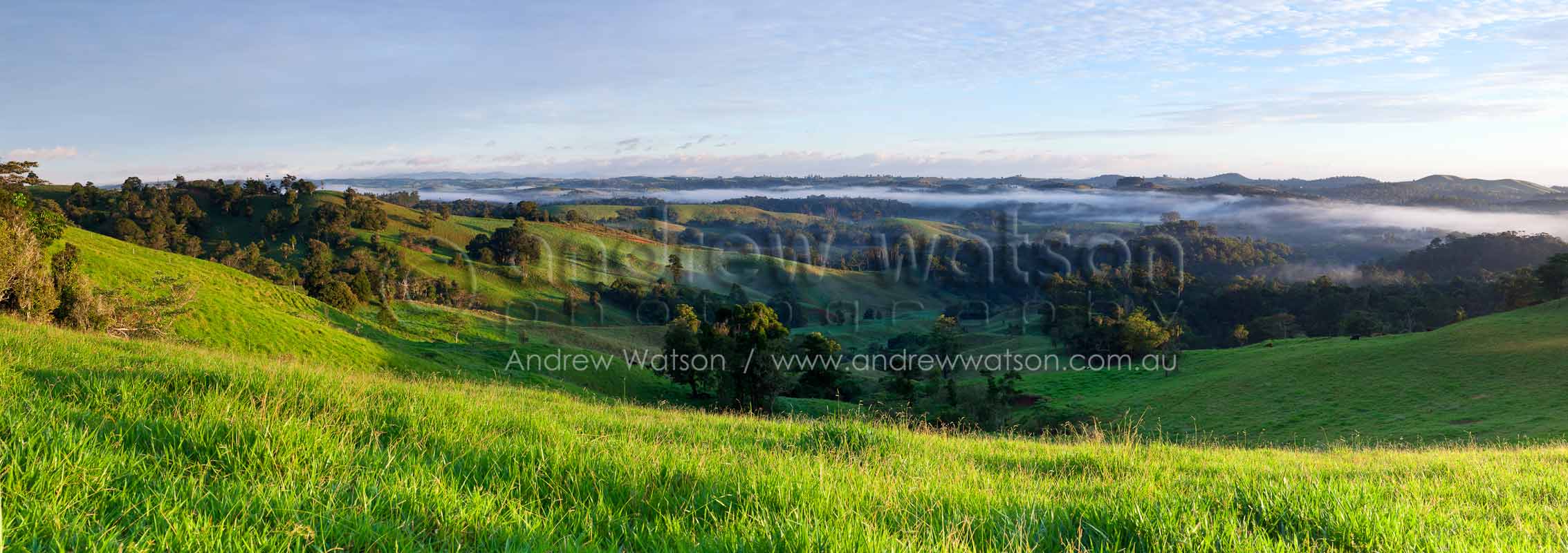 Dawn view across pastures on Atherton TablelandsMillaa Millaa, North QueenslandImage available for licensing or as a fine-art print... please enquire