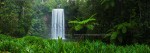 Tropical waterfall surrounded by tree ferns and rainforest