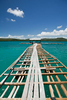 A pearling jetty extends into the turquoise water around Friday Island, Torres Strait