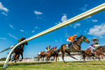 View of horse racing down the finishing straight at Cairns Amateurs Carnival 2015
