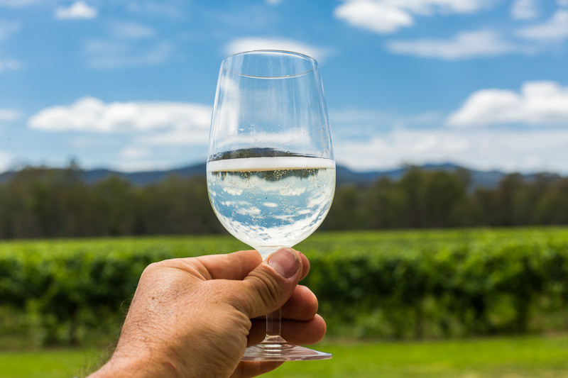 A hand holding a glass of white wine with vineyard in the background