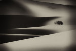 The Mesquite sand dunes