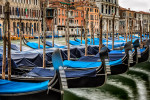 The Gondolas of Venice