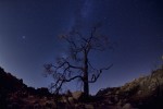 after dark in joshua tree national park