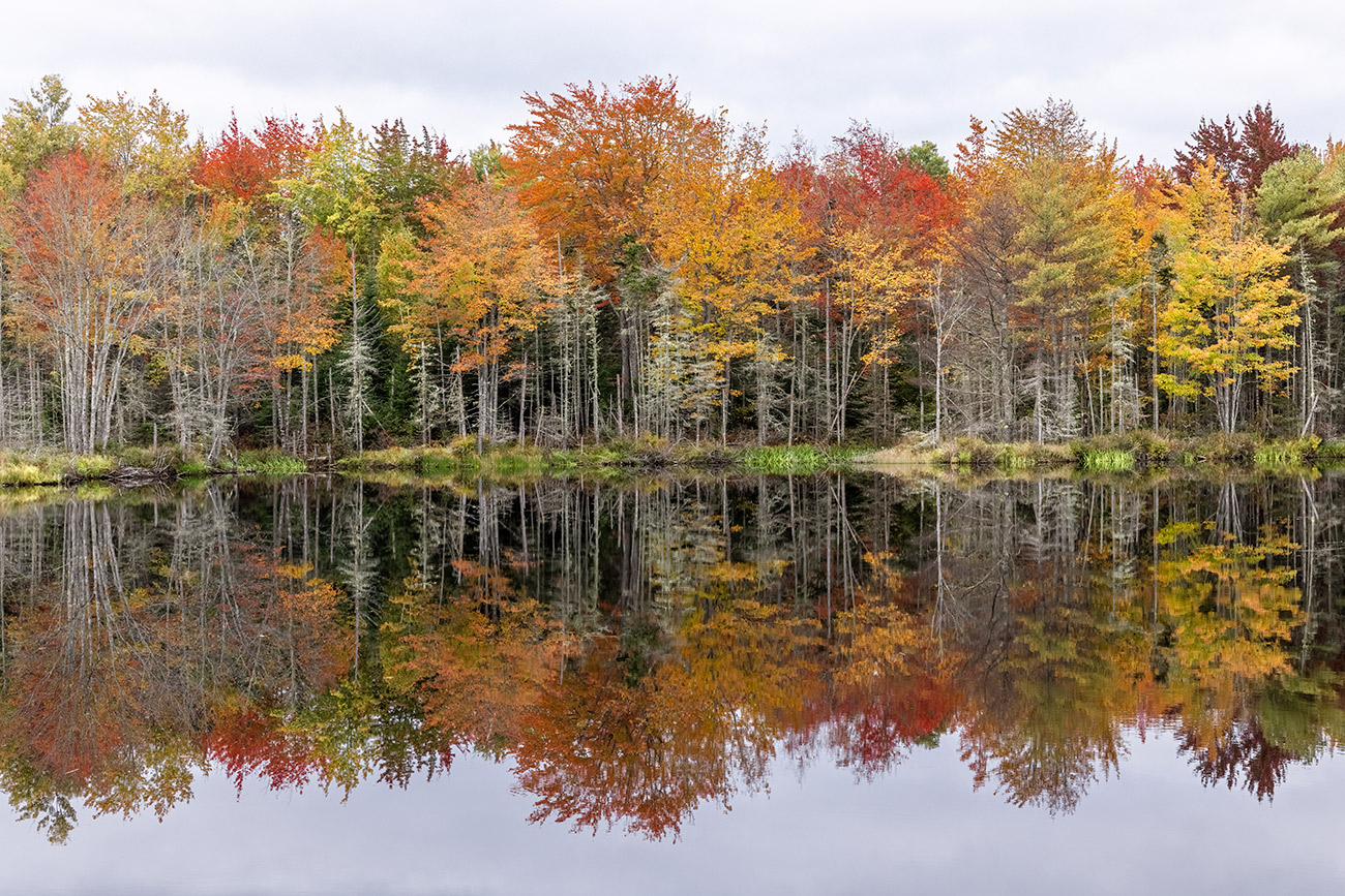 Fall color & reflections outside of Bar Harbor
