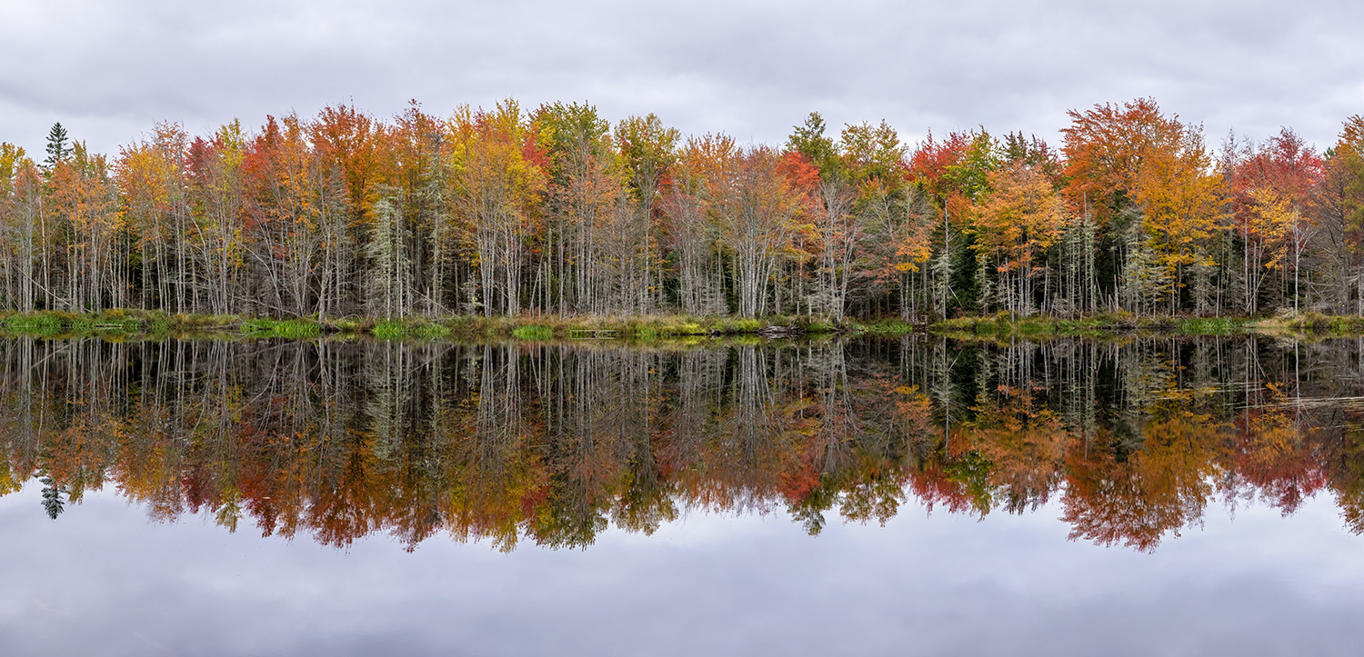 Fall color panorama and reflections