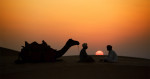 camels_sunrise_india_intro