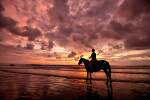 Riding horses in Costa Rica at sunset
