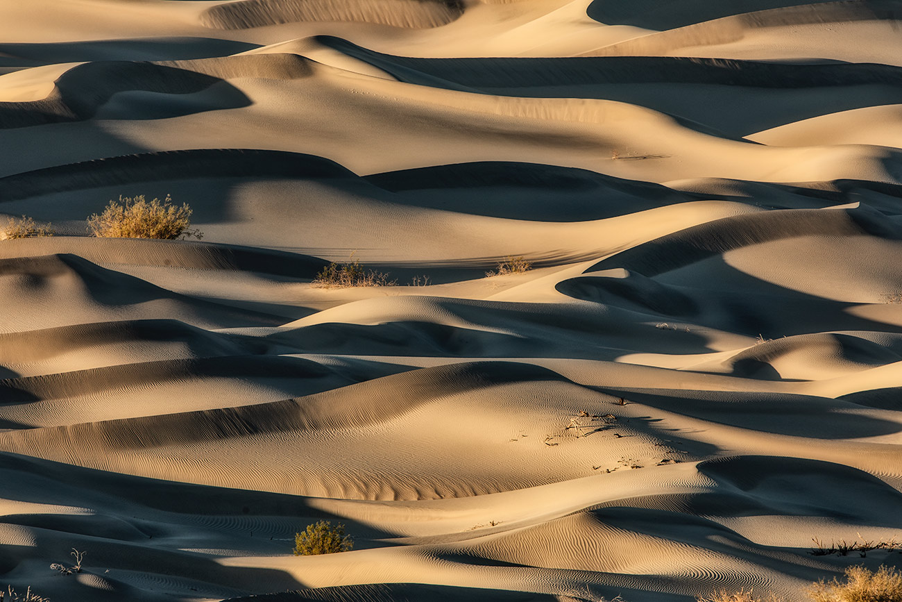 The amazing Mesquite Sand Dunes
