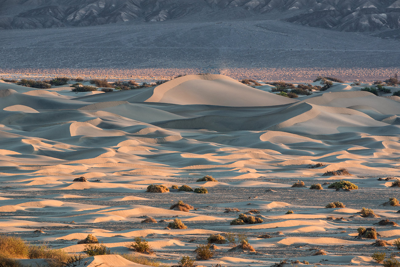 A telephoto perspective of the dunes