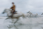 My friend Pierre on his Camargue horses of France