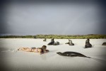 up close and personal with sea lions, Galapagos