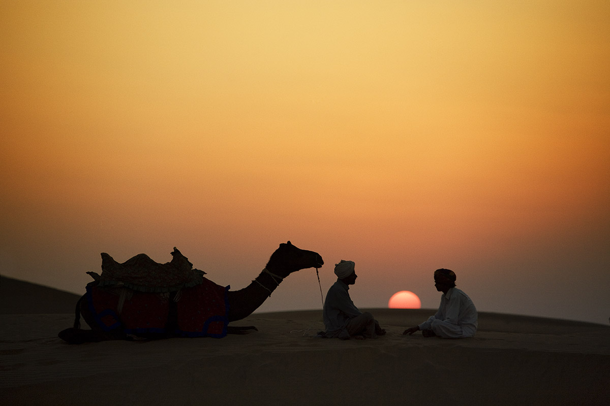 Camels India