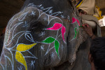 The painted elephants of Amber Fort, Jaipur