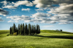 The amazing Cypress Grove in Tuscany