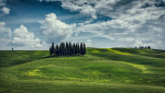 The cypress trees of Val D'orcia in Tuscany