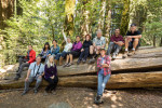 The group in Jedediah Smith Redwoods