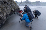 The group capturing the colorful starfish