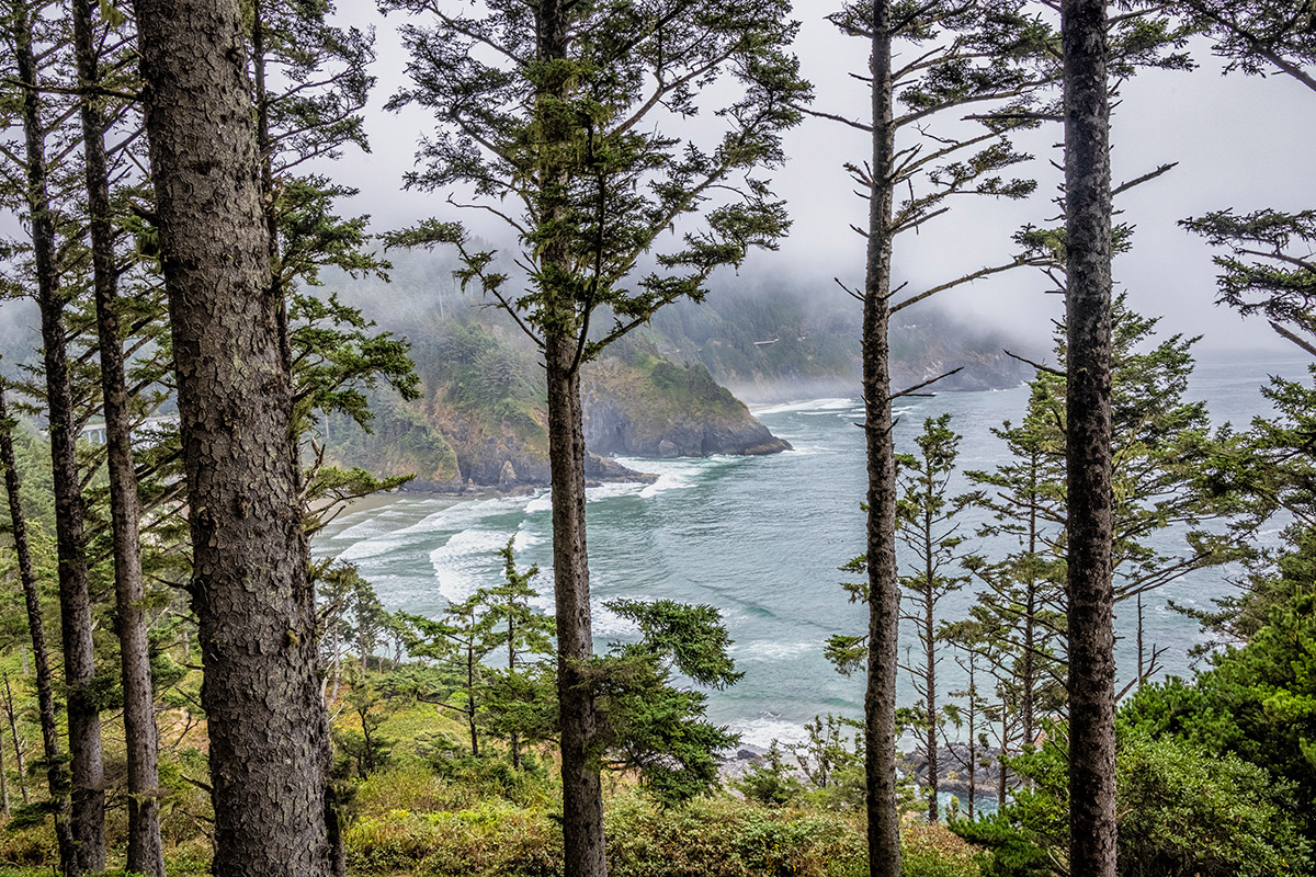 The View By Heceta Lighthouse In Yachats, Oregon: The Coast Of Oregon ...