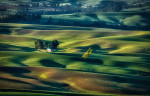 Crop duster at sunrise by Steptoe Butte