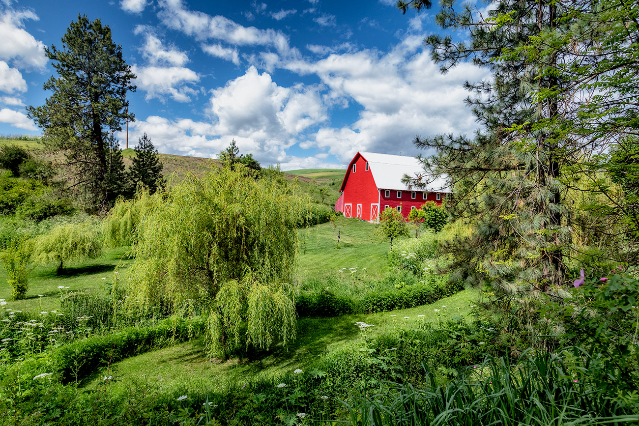 My favorite barn and garden in the Palouse