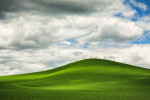 One of my favorite hills in the Palouse
