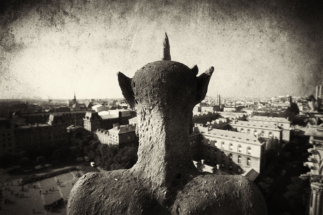 Atop the Notre Dame Cathedral in Paris